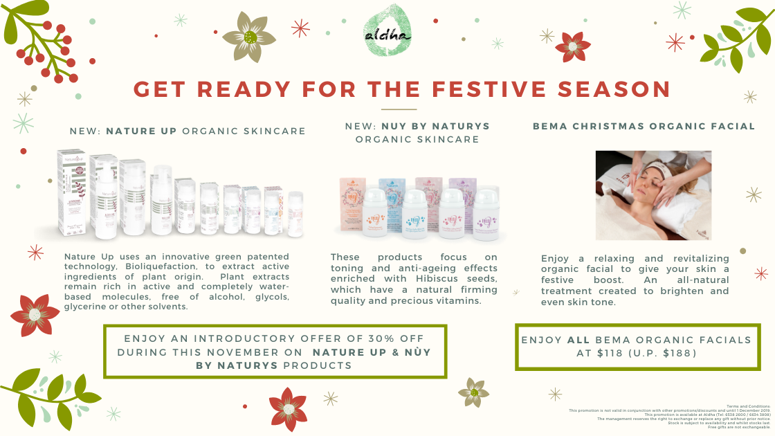 November Festivities 🎊